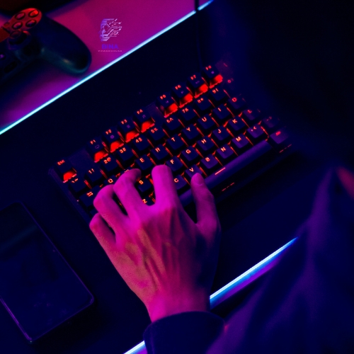 Mechanical Keyboards
